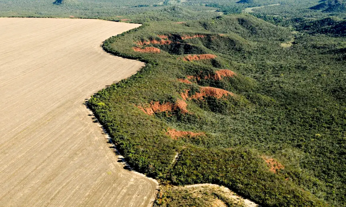 Desmatamento cresce 9% no Cerrado