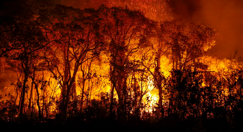 Como MT e MS estão preparando para enfentar o fogo no Pantanal