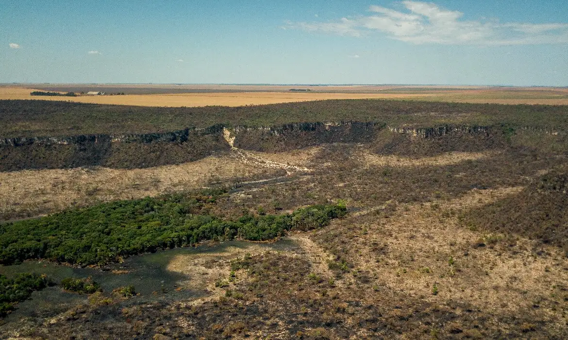 Desmate no Cerrado é maior que na Amazônia, pela primeira vez