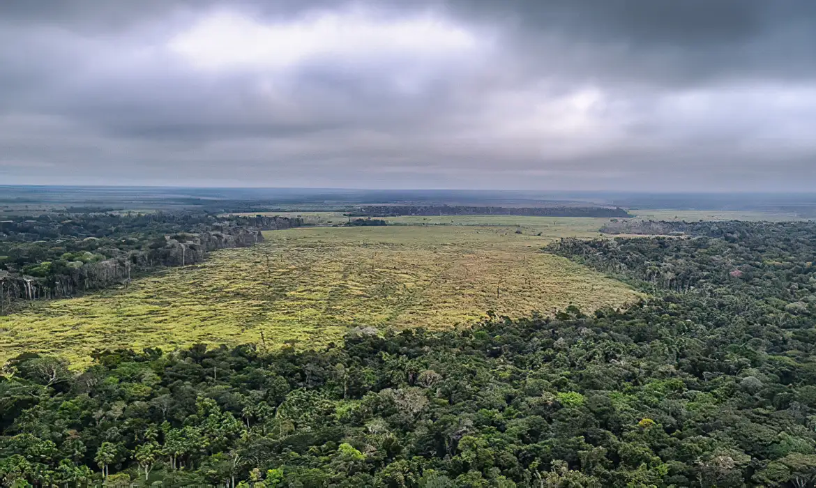 Degragação na Amazônia atinge 2.846 km² e é a maior em 15 anos