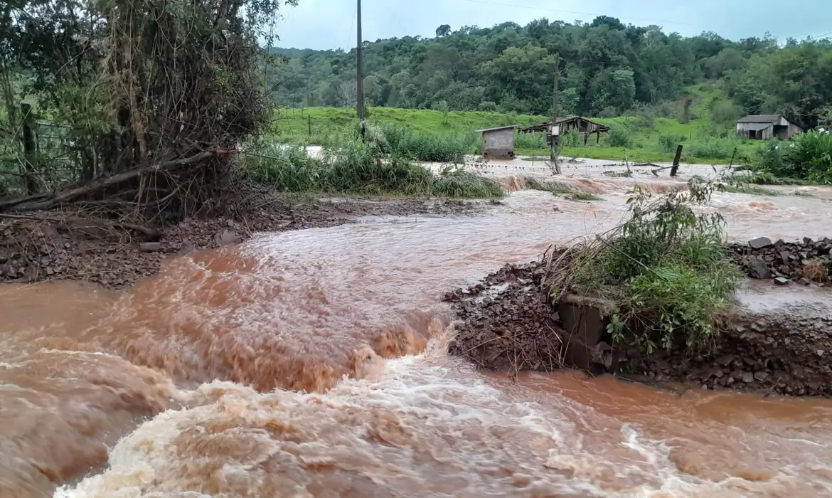 Agro do RS avalia perdas com enchentes de R$ 3 bilhões