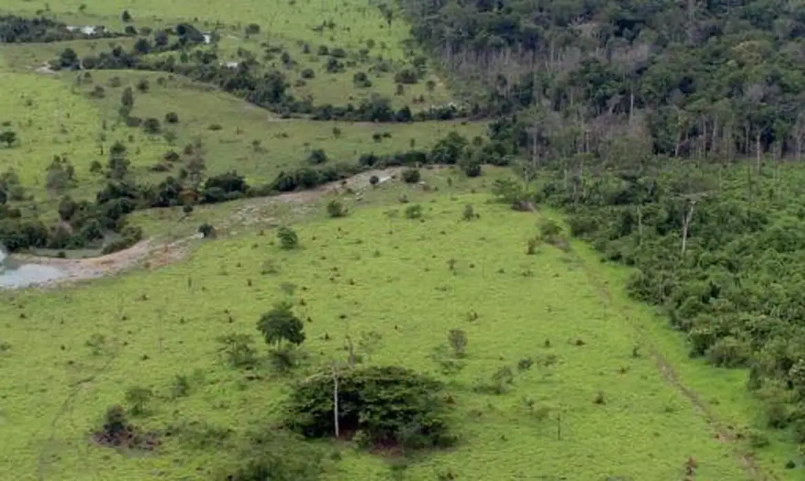 Imóveis com CAR respondem por 89% do desmatamento no Brasil