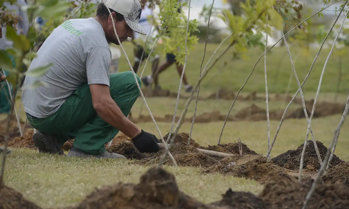 Empresa quer conectar 5 mil hectares de vegetação nativa no Cerrado