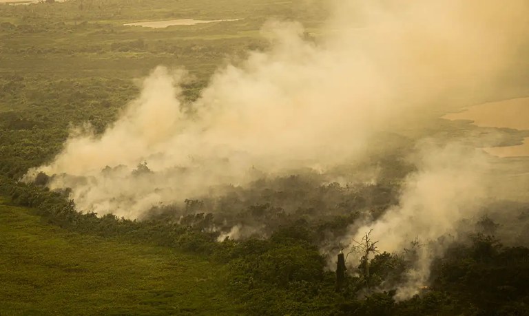 “Queima controlada” no Pantanal será tratada como crime