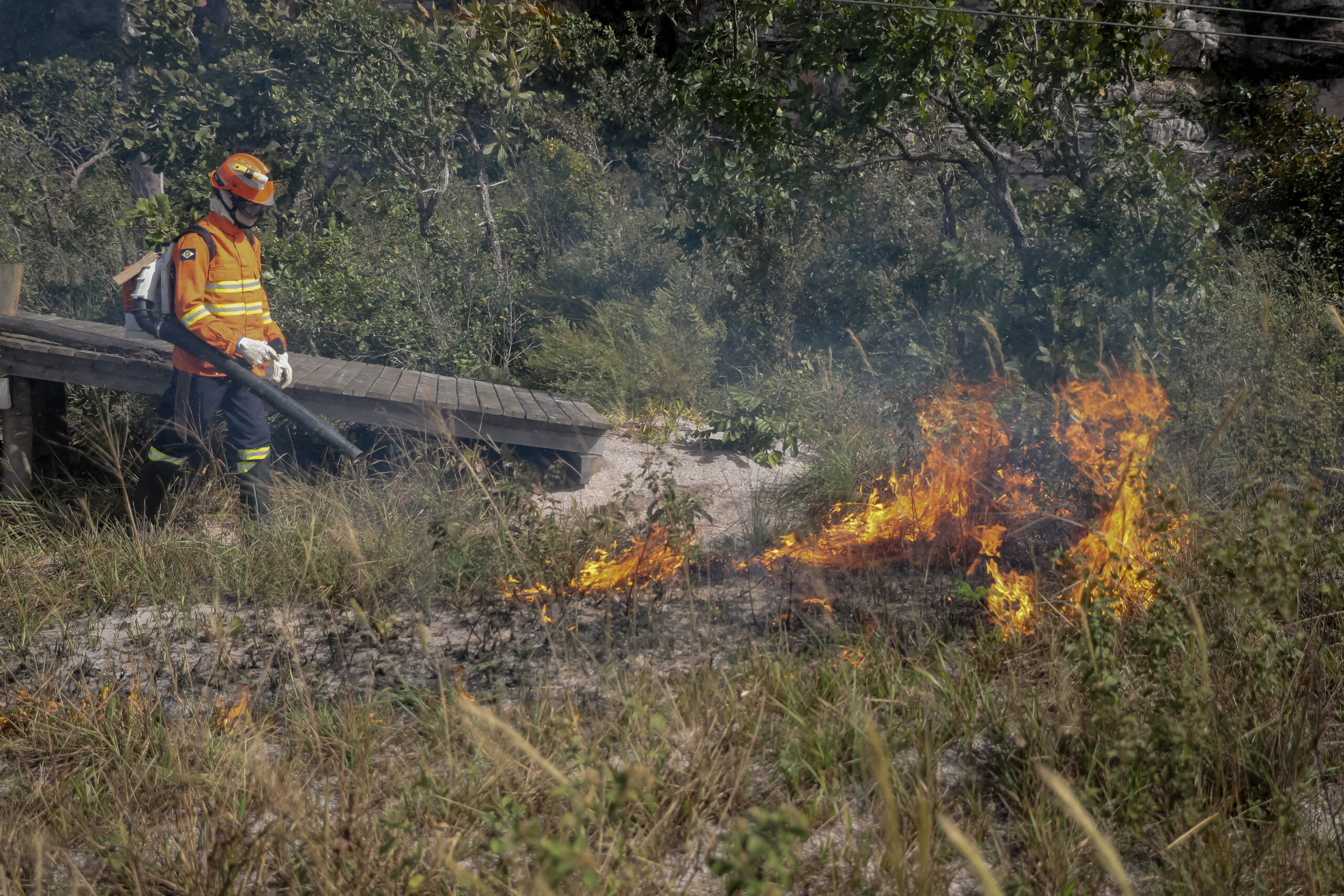 Bioma mais afetado pelo fogo, Pantanal já queimou 9 milhões de ha