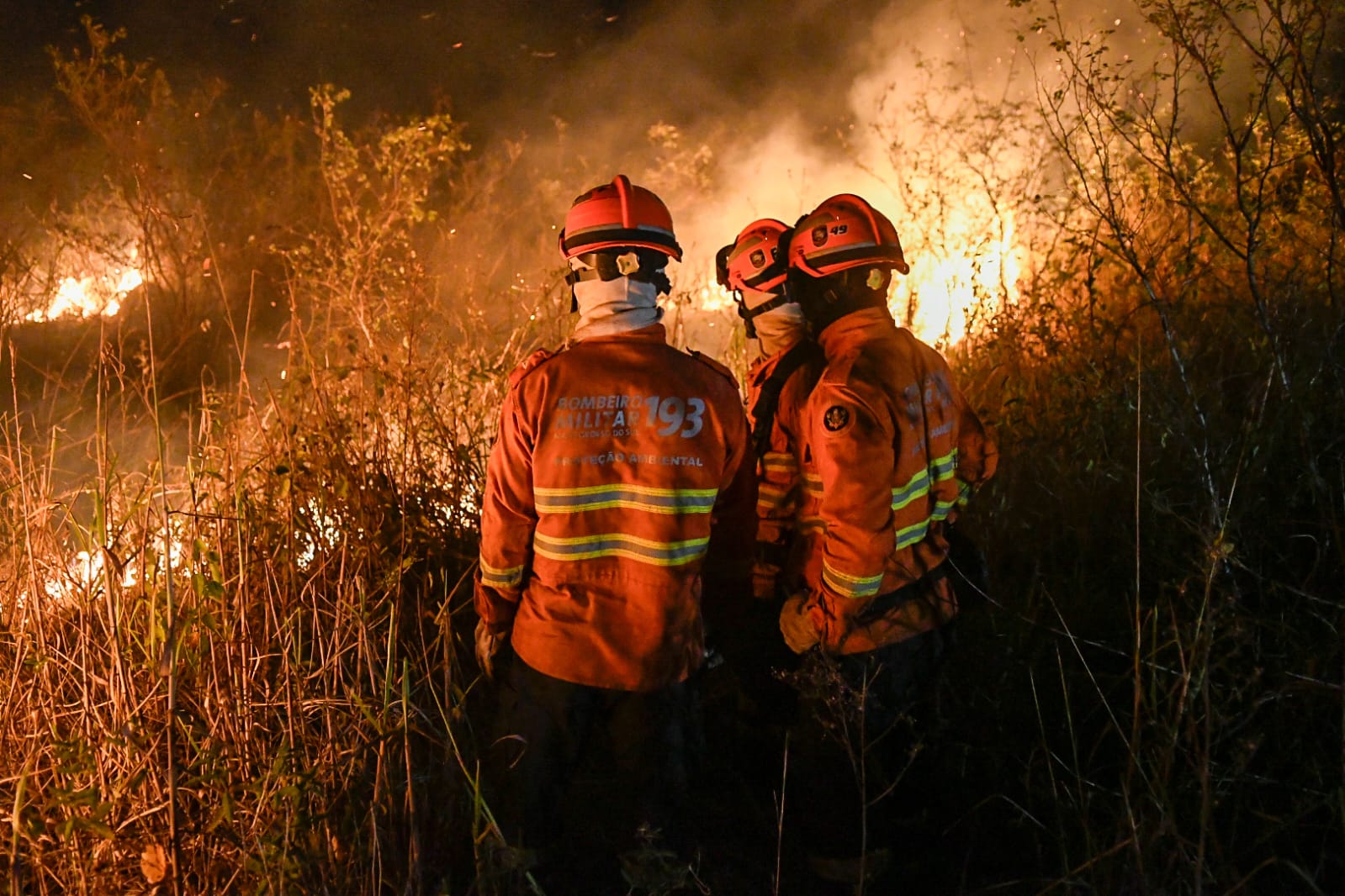 Fogo no Pantanal queima área maior que BH e Porto Alegre em 1 semana