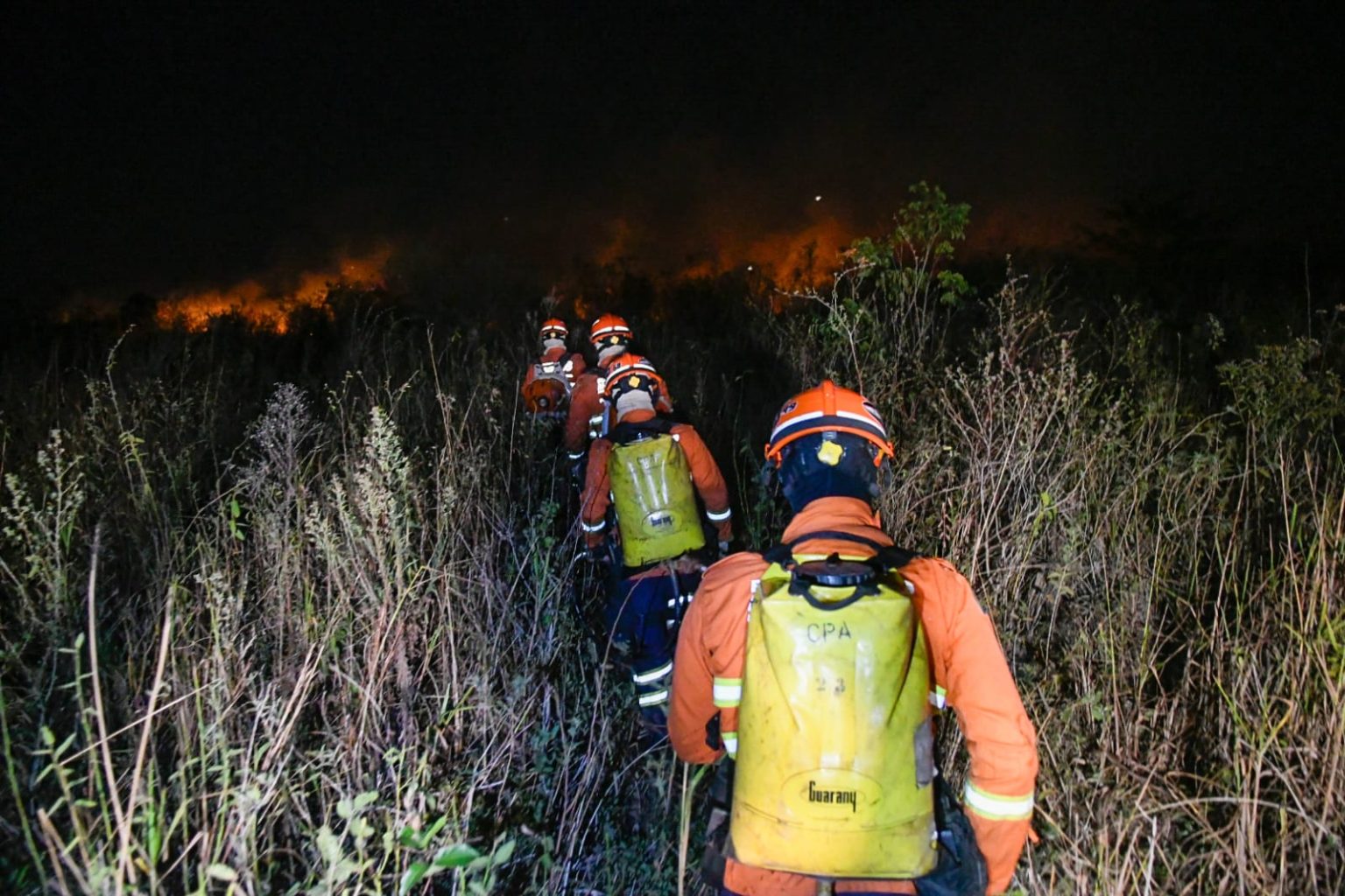 Fogo no Pantanal já ameaça cidades e MS decreta emergência