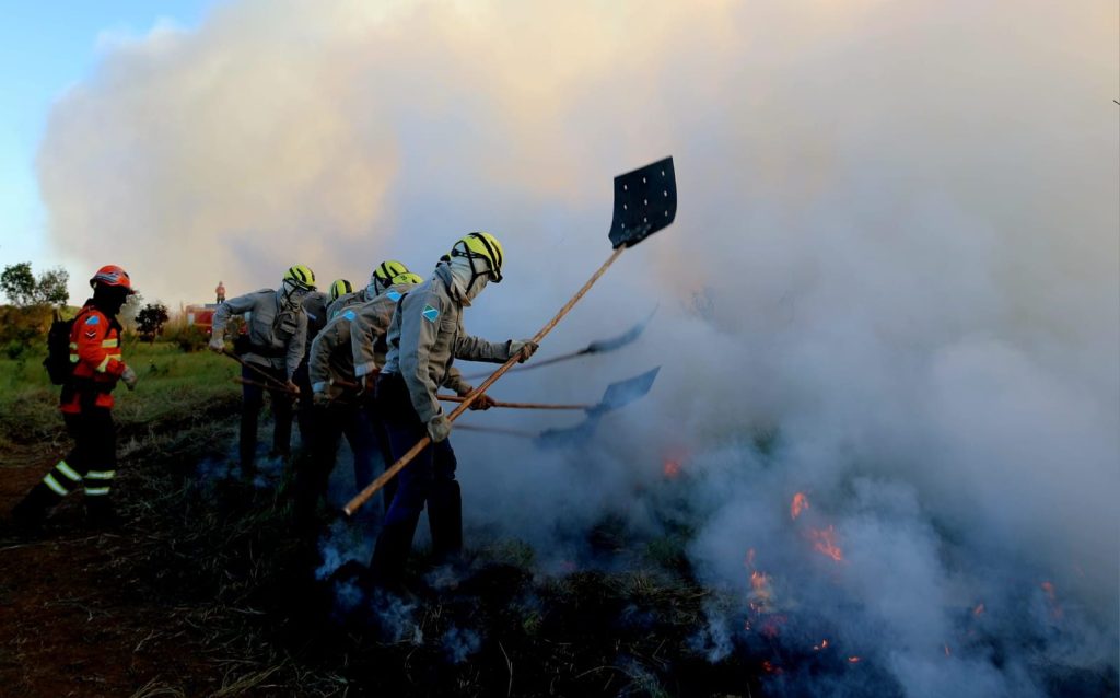 Incêndios no Pantanal faz Brasil liderar queimadas na América do Sul