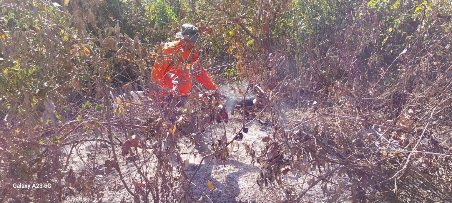 Fogo em áreas isoladas do Pantanal são desafio para brigadistas