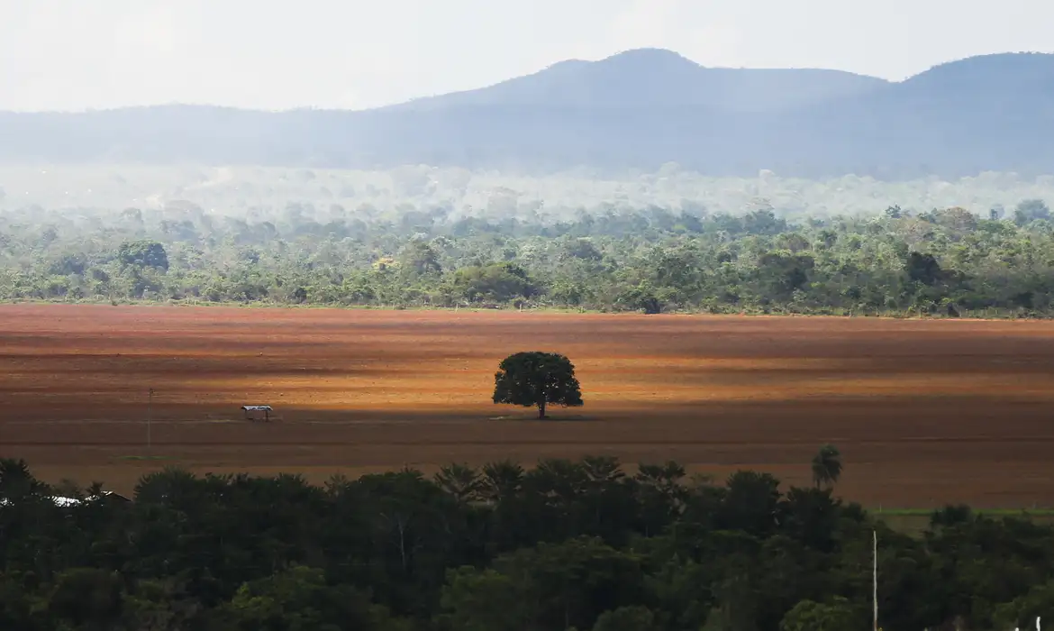 Cerrado vive pior seca em 700 anos e cenário deve piorar