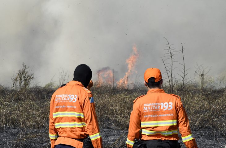 Fogo mais cedo ameça Pantanal com mudança permamente