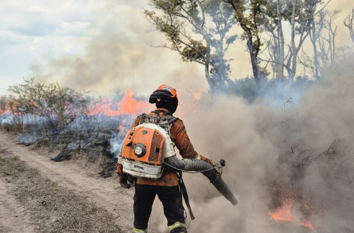 Maioria dos focos de incêndio começou em áreas privadas