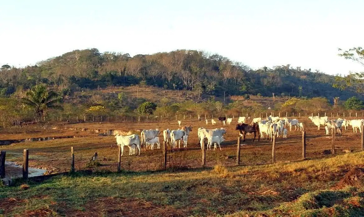 JBS amplia programa de regularização ambiental do produtor