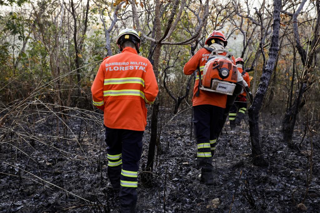 Planejamento para prevenção e controle de incêndios no Pantanal