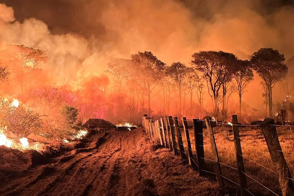 Incêndios florestais atingiram cerca de 20 fazendas no MS em um mês