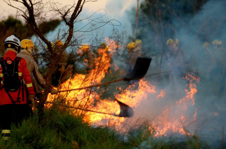 Área queimada no Pantanal neste ano já é 54% maior que em 2020