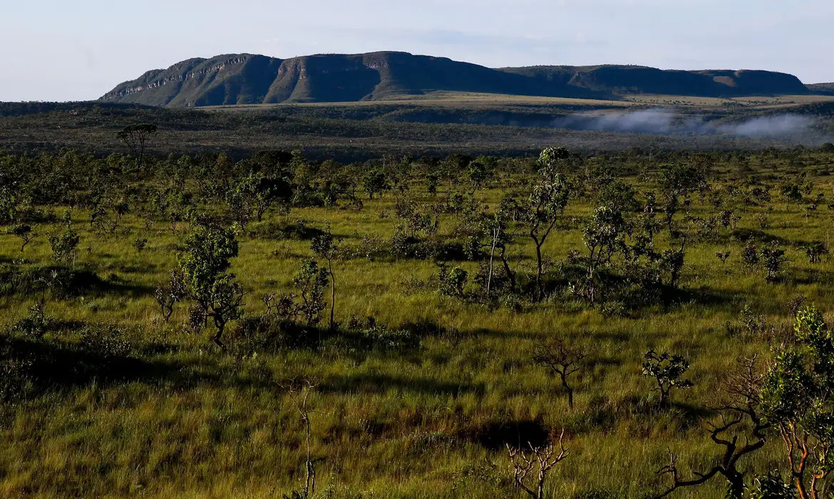 Seca no Cerrado é a pior há pelo menos sete séculos, aponta estudo