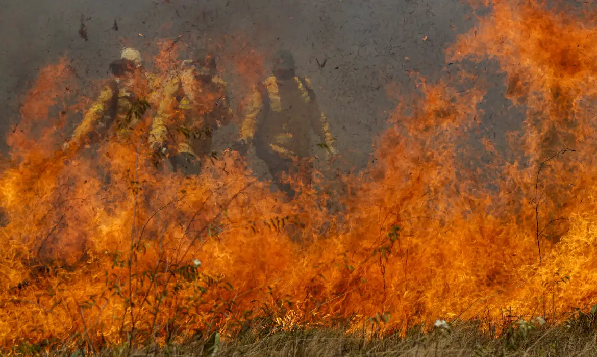 Ação humana: PF investiga origem de incêndios no Pantanal