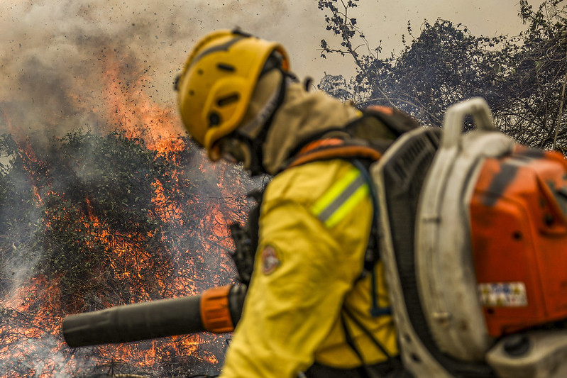 Incêndios a partir de 20 focos queimaram 292 mil ha do Pantanal