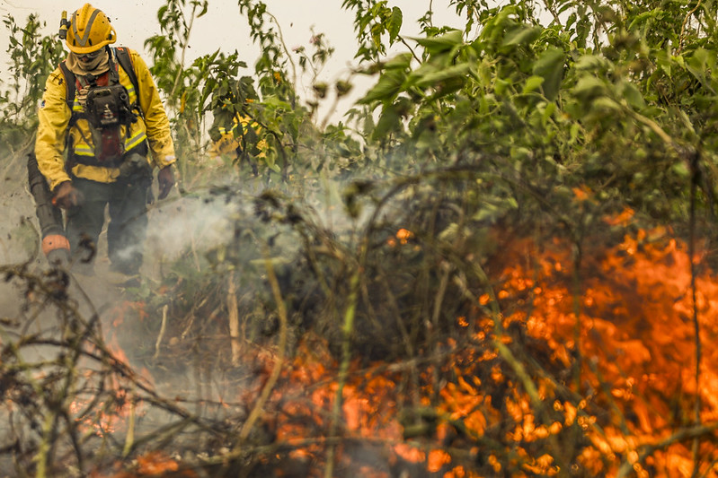 Pantanal registrou um incêndio a cada 15 minutos em junho