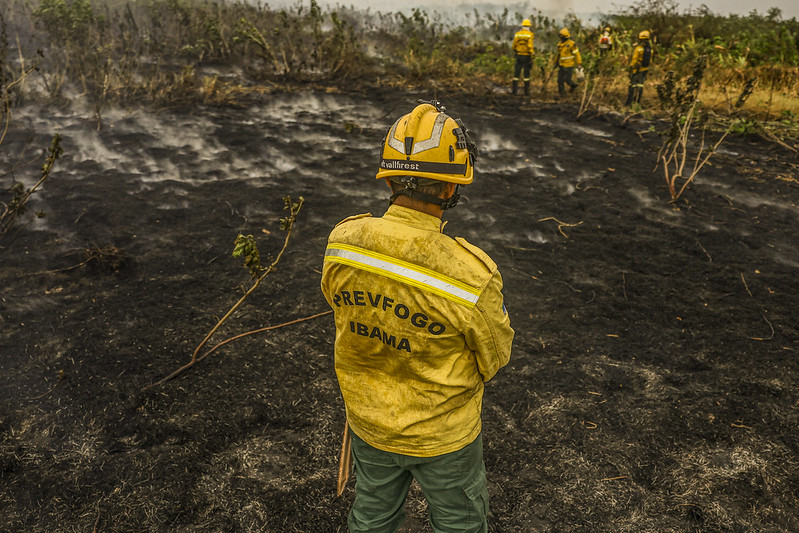 MP investiga doze fazendeiros por incêndios no Pantanal