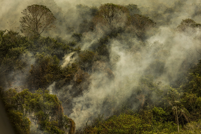 Pantanal poderá contar com crédito extraordinário do governo federal