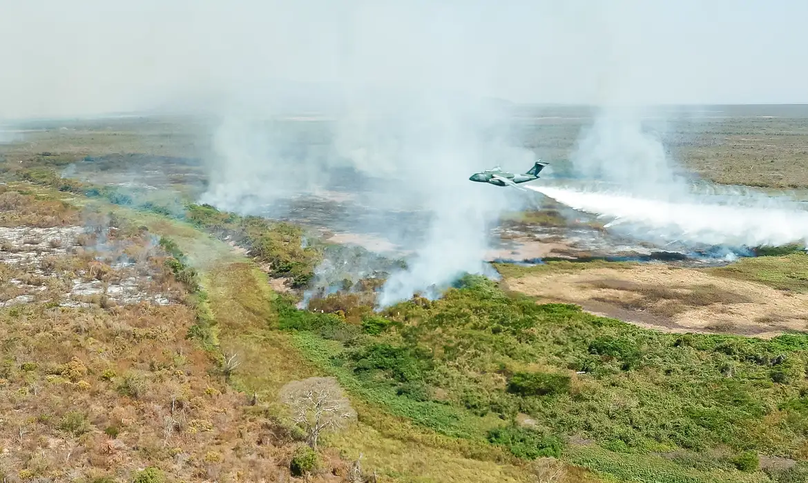 No Pantanal, presidente sanciona política para uso controlado do fogo