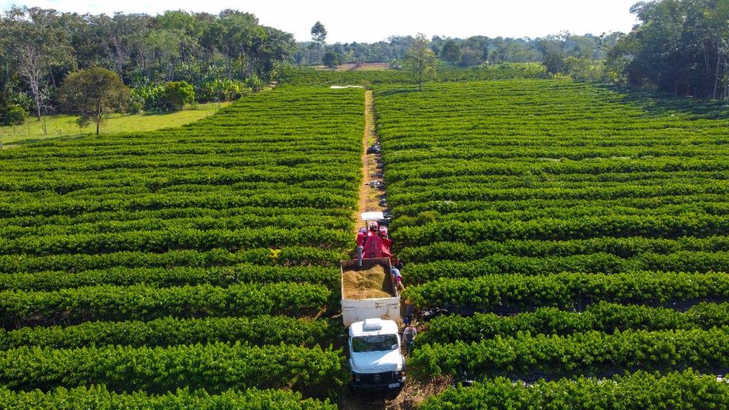 Governo de MT lança linha de crédito de até R$ 1,5 mi para produtores