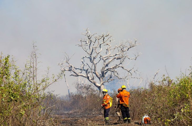 Clima ameaça trégua do fogo e brigadistas seguem em alerta