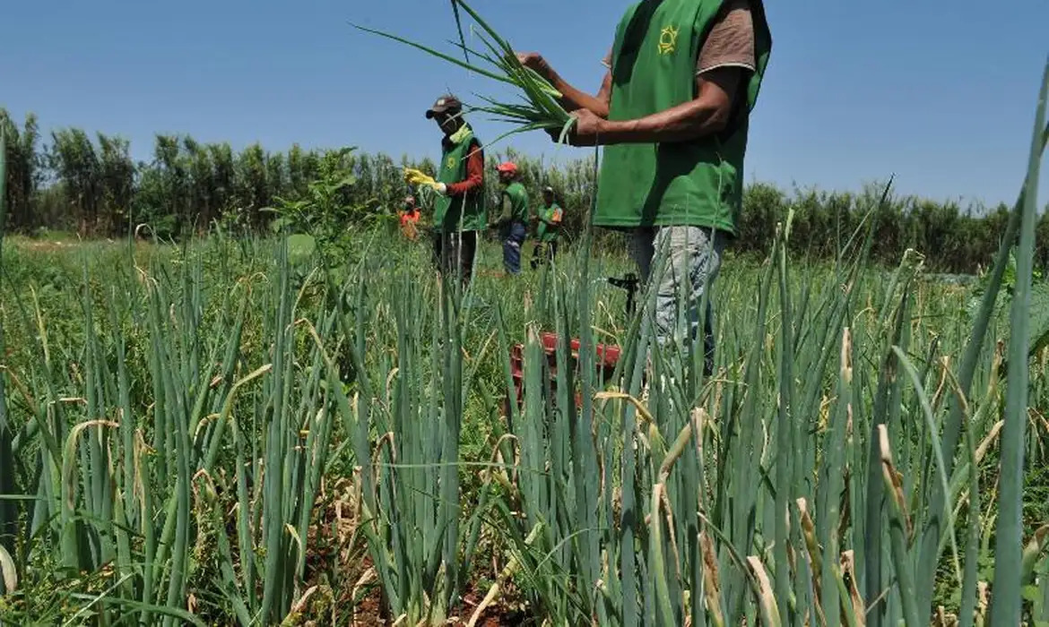 FAO identifica 4 gatilhos para transformar sistemas agrícolas