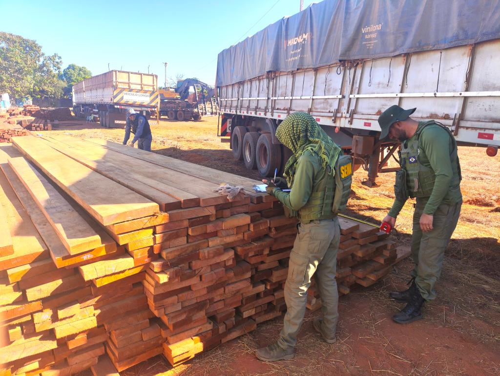 Castanheiras são apreendidas durante fiscalização no interior de MT