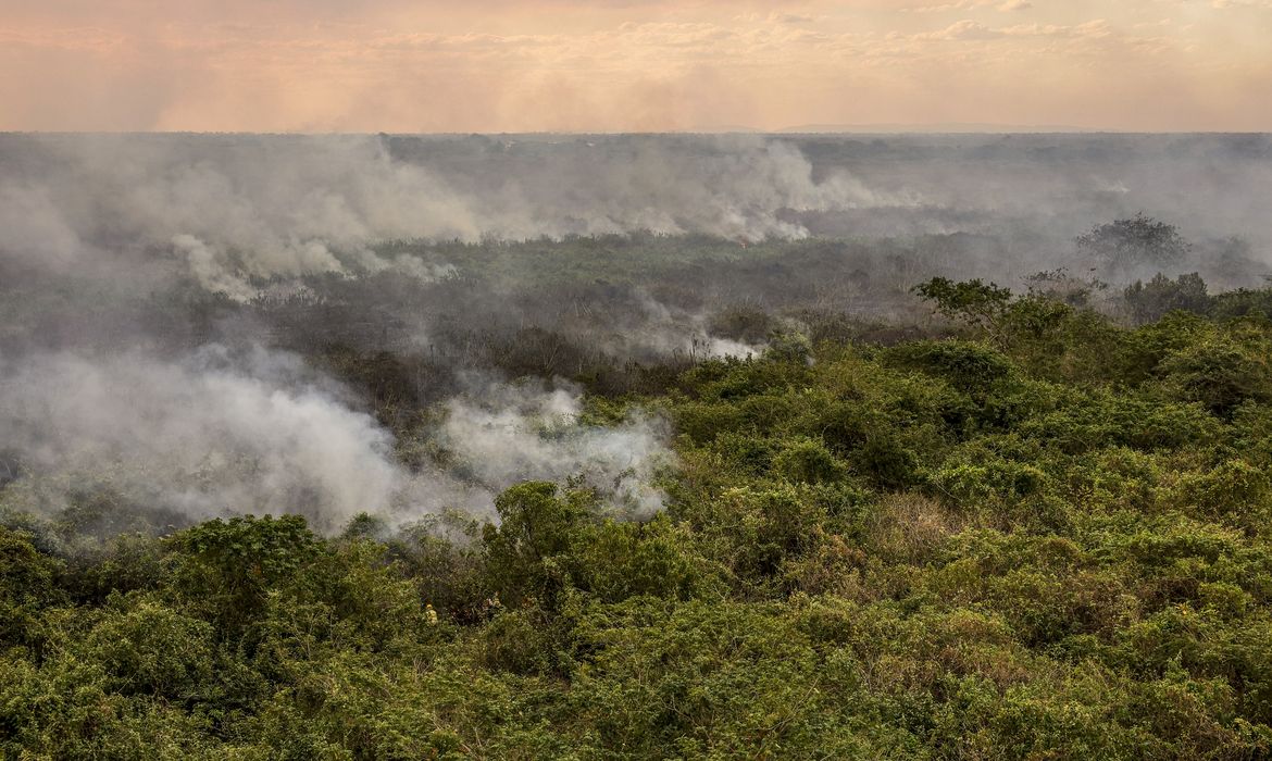 ‘Ponto de não retorno’ é alerta para o Pantanal, diz estudo