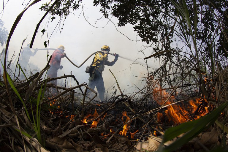 Brasil tem alta de 119% na área queimada e deslocamento de focos entre os biomas