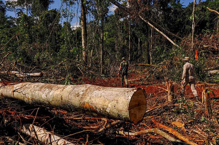 Combate a crimes ambientais na Amazônia na mira dos EUA