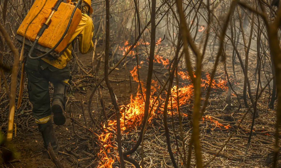 Fogo atinge Terra Indígena Kadiwéu no Pantanal