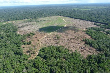 Como o Centro-Sul impacta no desmatamento da Amazônia