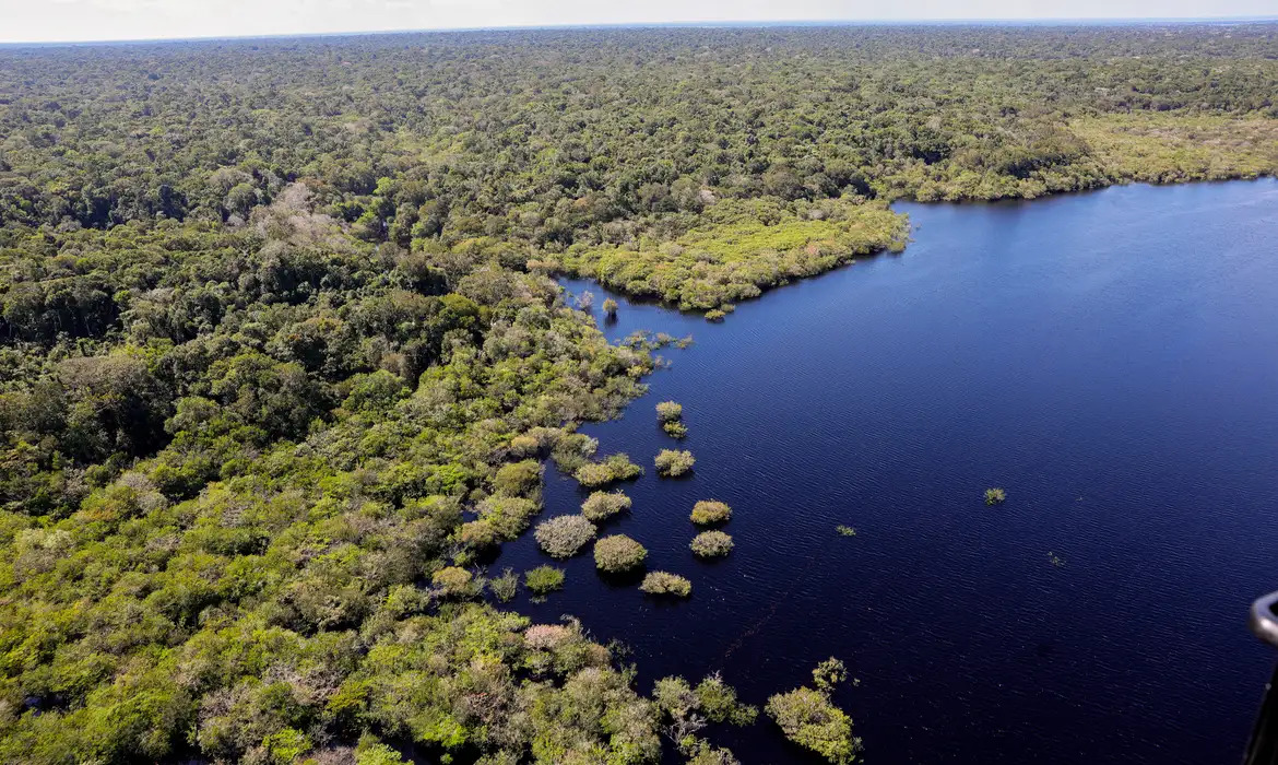 União Europeia anuncia doação de R$ 120 milhões ao Fundo Amazônia