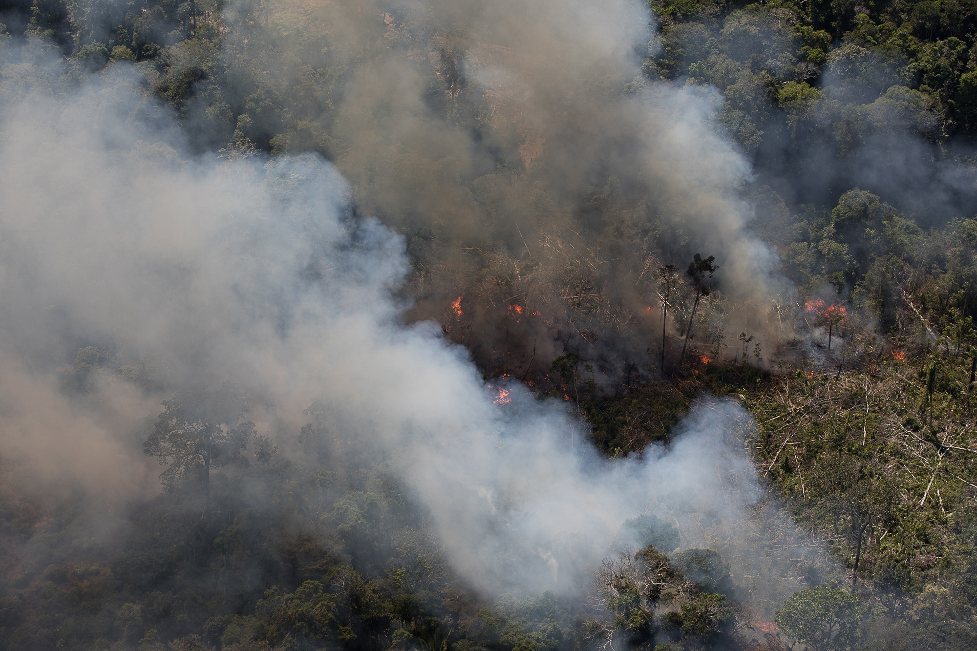 Fumaça da Amazônia e do Pantanal se iguala a 5 anos de poluição em SP