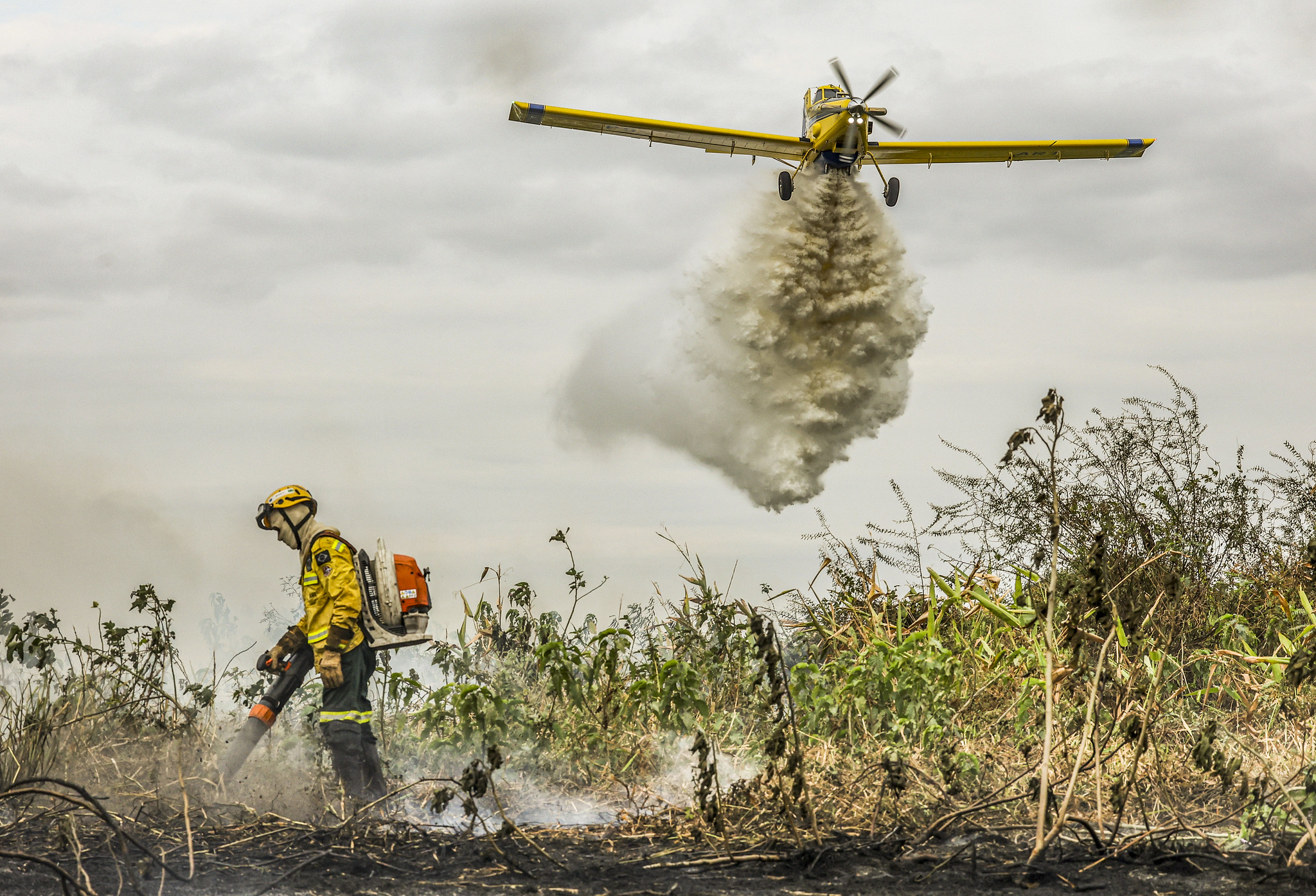 Mudanças climáticas agravaram em 40% incêndios no Pantanal