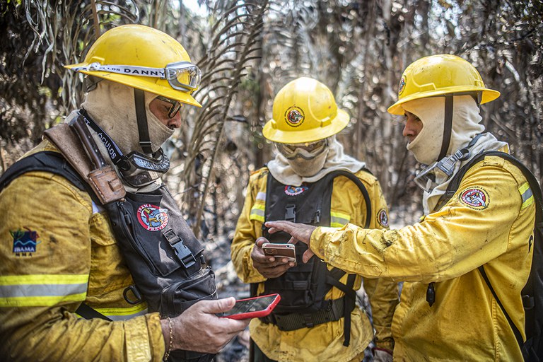 Ibama aumenta para 2.227 o total de brigadistas em todo Brasil