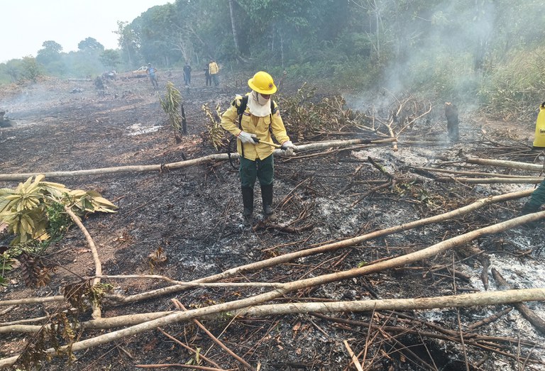 Incêndios e seca na Amazônia mudam papel dos ‘rios voadores’