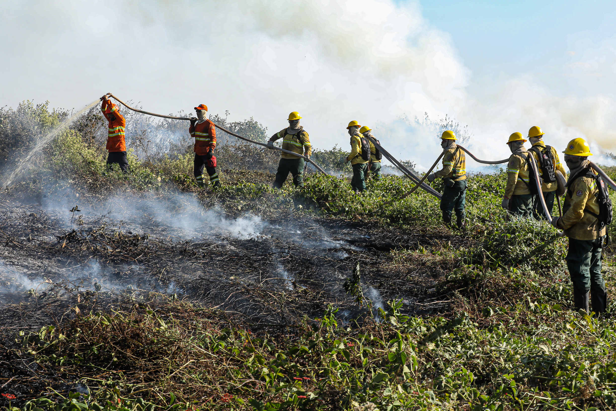 Chuva reduz incêndio no Pantanal, mas fogo subterrâneo preocupa