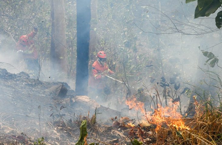 Área queimada no Pantanal já chega a 1.5 milhão de hectares