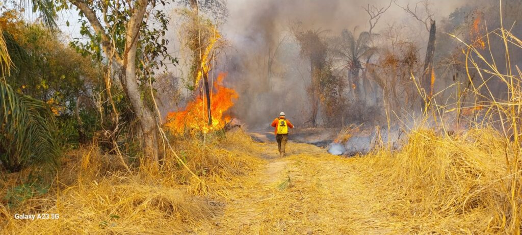 Fogo na Serra do Amolar desafia brigadistas há uma semana