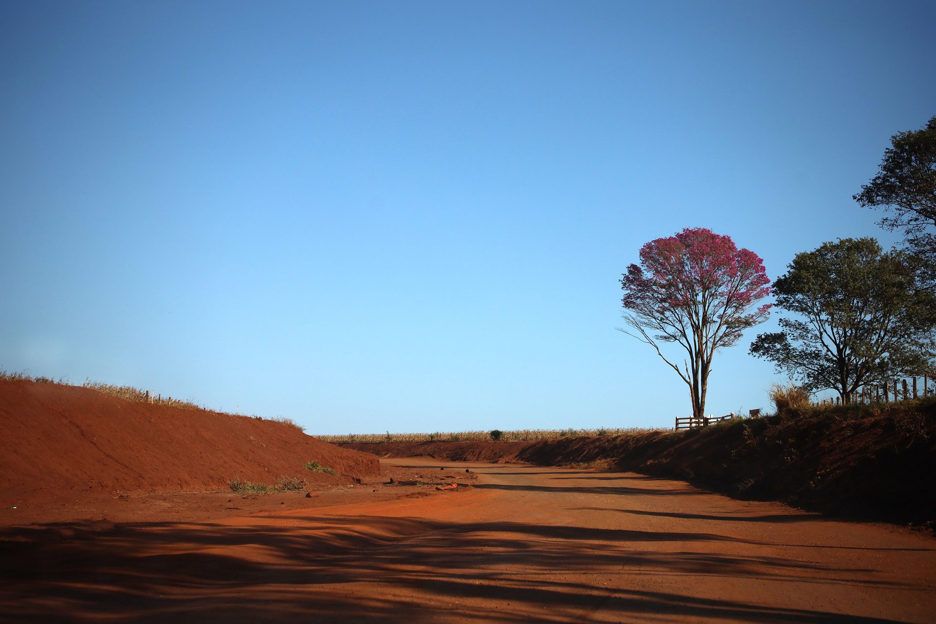 Setembro chega com calor extremo e tempo seco