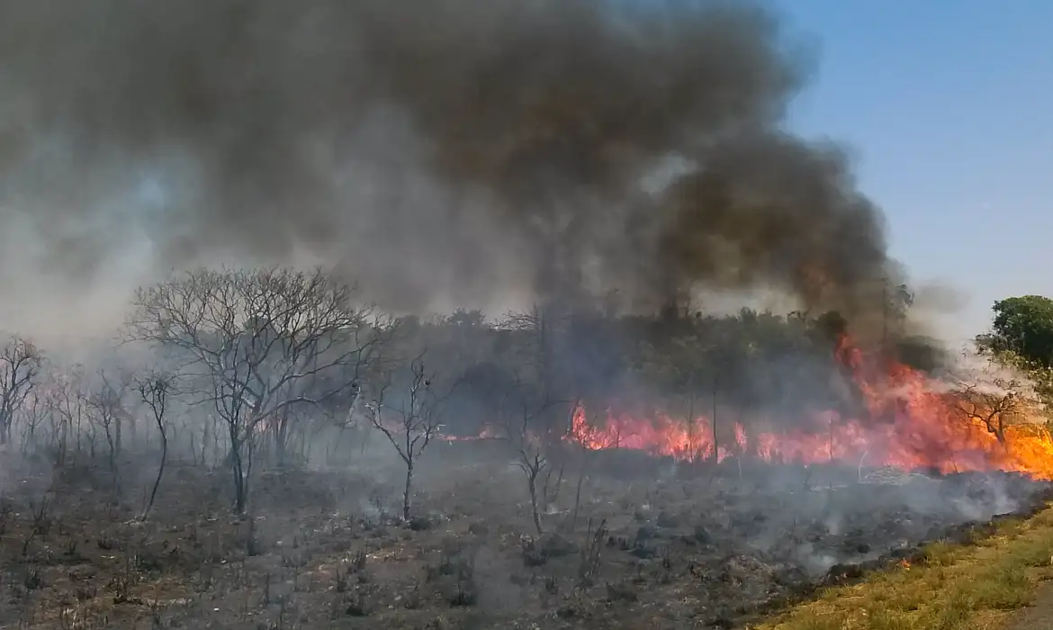 Normas para uso do fogo no agro são alteradas; veja o que pode e o que não pode