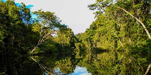 Fundo Amazônia recebe doação de US$ 47 milhões dos Estados Unidos