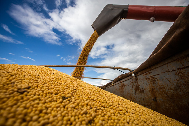 Brasil bate recorde de aberturas de mercados para o agro em 8 meses