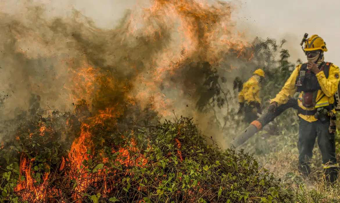 Agro estima prejuízo de R$ 14,7 bilhões com incêndios no Brasil