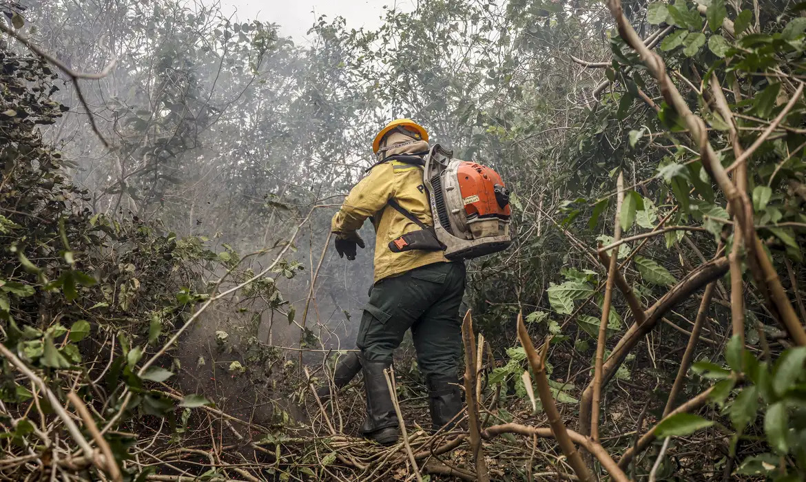 STF dá 15 dias para União combater fogo e governo contrata brigadistas